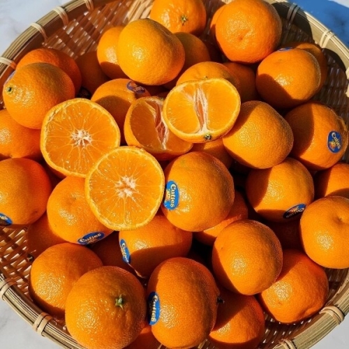 A테이블 미국산 오렌지 만다린 감귤 10과 내외 10kg