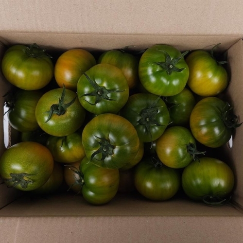 A테이블 국내산 일반 대저토마토 S-2S 소과 1.5kg