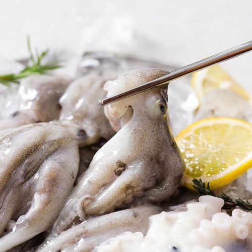 자연맛남  고흥 정품 A급 활 쭈꾸미 5-8미 1kg