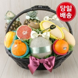 한국씨엔에스  프리티 과일바구니 9.5kg