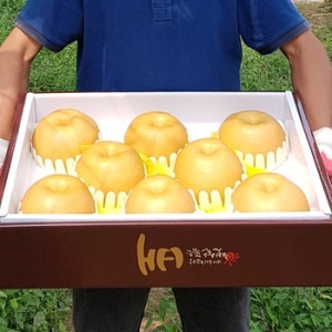 햇살품은배영농조합법인  명품 나주 신고배선물세트 8~9과 5kg