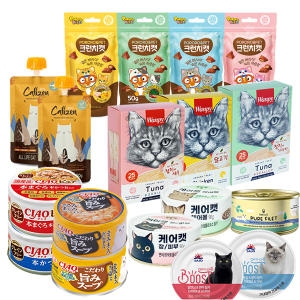 꿈쟁이 캣그라스 원형화분 밀