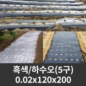 세원비닐 흑색 유공 멀칭 비닐 0.02mm 5구