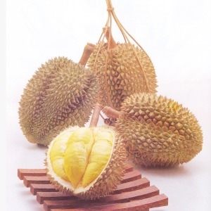 흙살림푸드  두리안 모든과일/통두리안 팩두리안 건두리안 분말