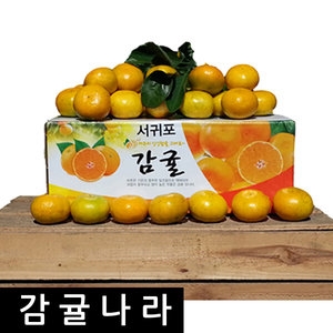 제주감귤농장 노지 감귤 중대과 10kg [1개]