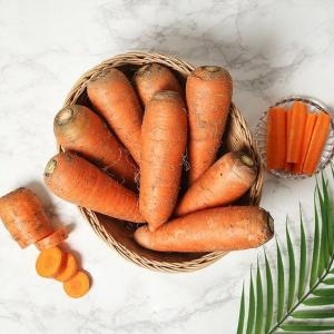 농부마음  흙당근 주스용 5kg