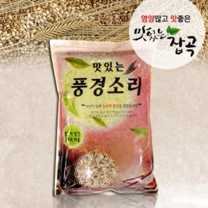 현대농산  렌틸콩 귀리 혼합 20곡 5kg