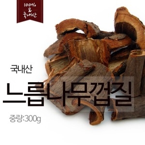 느릅나무껍질 도꼬마리 겨우살이 조릿대 꾸지뽕 백출