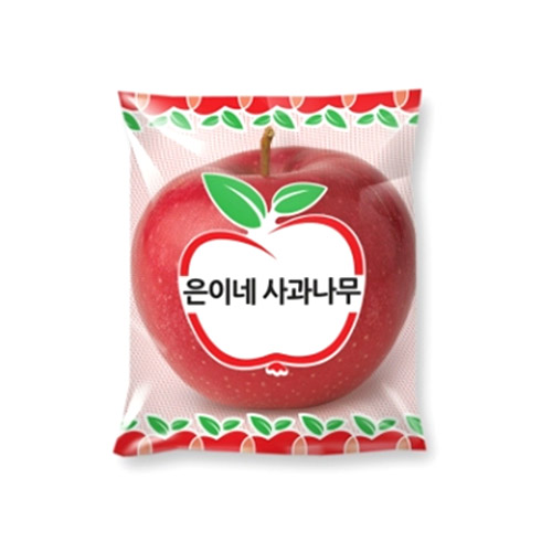 늘푸른 은이네 사과나무 안동 세척사과 13~17과 3kg [1개]