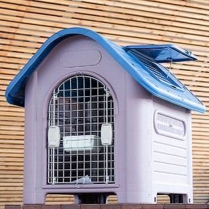 엠펫 썬루프 도그하우스 02DX  블루