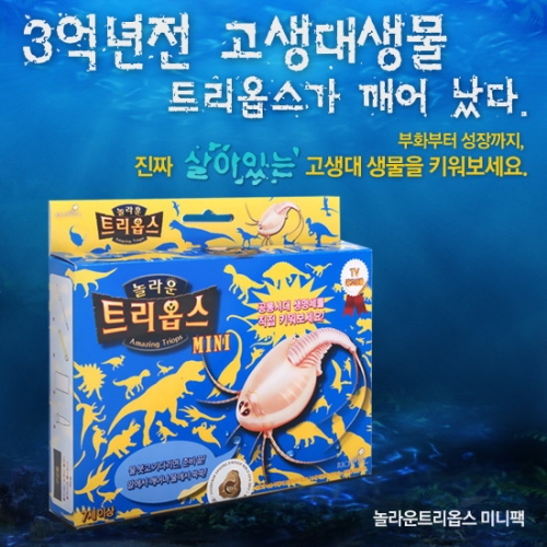 리치웰  트리옵스 키우기 미니팩