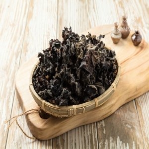 가락시장  목이버섯    직배송