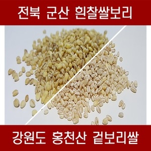 다온농산 2019 국산 겉보리쌀 5kg[1개]