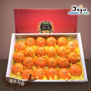 올찬농산농업회사법인  레드향 선물세트 왕특대/특대 13~23과 5kg