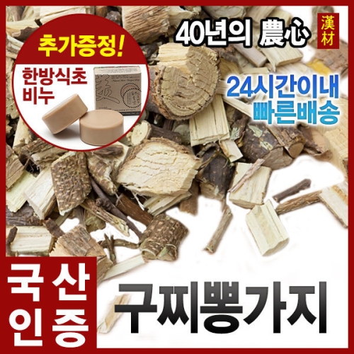 자애인  국내산 꾸지뽕/국산 구찌뽕/꾸찌뽕가지/꾸찌뽕잎/뿌리