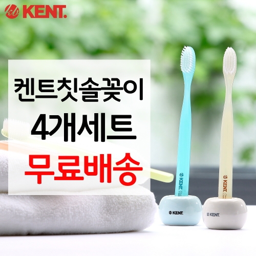 켄트  원형 칫솔꽂이