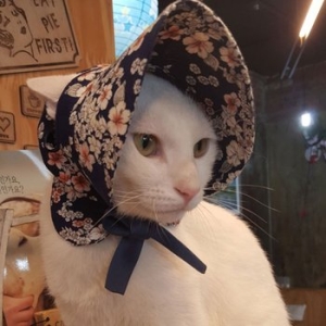 꼴레트멍멍 아소비진 천송이 바나썬캡 FNSB180016