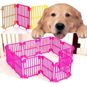 라온 프리미엄 울타리 옐로우 8p