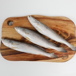 민어조기 뾰조기 뾰족조기 제수용생선 5P26~28cm 5마리