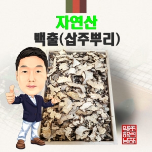 자연산 백출 삽주뿌리   야생 국내산 국산