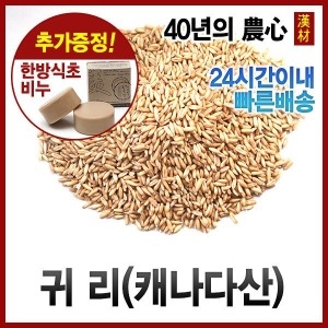 자애인 귀리  캐나다산 /볶은귀리/오트밀/슈퍼곡물