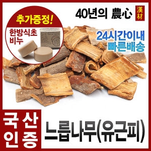 자애인  자연산 느릅나무뿌리껍질 300g 국산 유근피