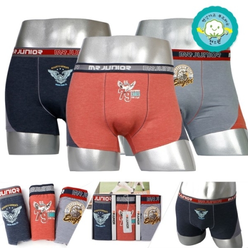 진스타일 물랑루즈 주니어 면스판 이글스 드로즈팬티 3종