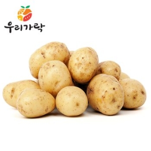 우리가락 감자 왕특 20kg
