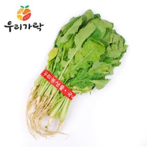 린앤지오팜  우리가락 열무 한박스 4kg