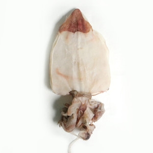 나눔푸드  오징어 장족 국내가공 대형 다리 파품1kg