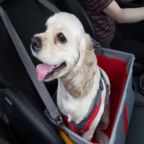 커고  저니 부스터시트