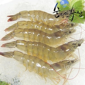 순천만수산 생물 새우 1kg [1개]