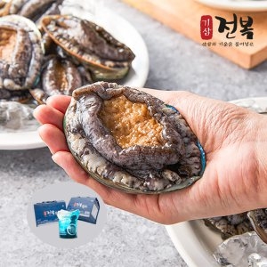 기삼전복  진도 활전복 1kg