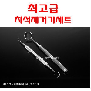 바다르산스 치석제거기+치경 U15-30