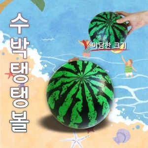 신광무역물놀이공/고무공/비치볼/펌프