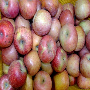 털보네  하늘사과 흠과 9kg