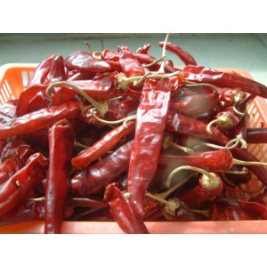 우가네농장  건고추 1근 600g