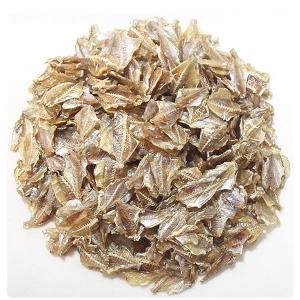 나비쥐포미니 쥐포 새끼 동전 쥐치포 부드러운