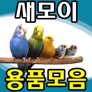 부산사료  새모이 새사료 해바라기씨 새용품 모음전/잉꼬/앵무새  -새모이 새사료 해바라기씨 새용품 모음전-