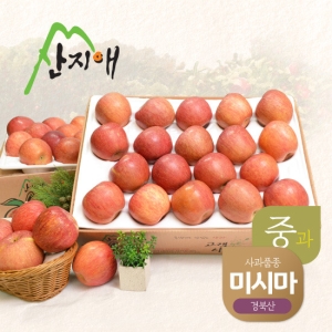 산지애 알뜰 못난이 사과 중과 4.5kg [2개]