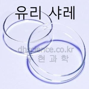 유리샬레 접시 + 덮게 9cm 12cm 선택구매/유리 샤레 세균 배양 페트리접시