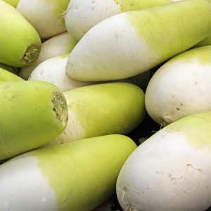 산정마을  국산 햇 무 5kg