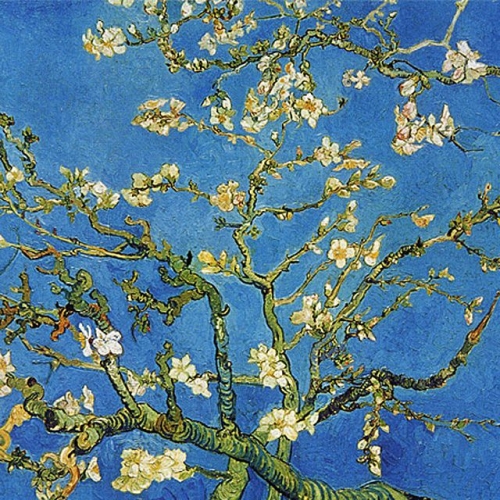 퍼즐라이프  퍼즐갤러리  500조각 직소퍼즐 꽃이 핀 아몬드 나무의 가지들  CA5099A