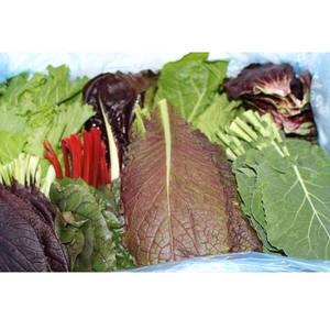 팜웨이  모듬쌈채소 7-8종 2kg