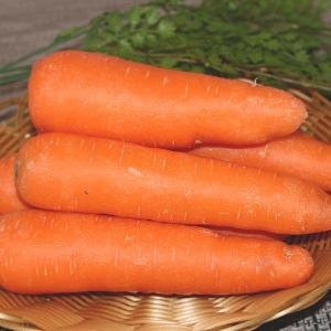 팜웨이  국내산 세척당근 10kg