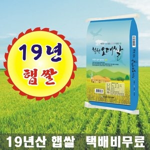 농업회사법인 2019 DMZ 철원오대쌀 10kg[1개]
