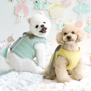 패리스독 패딩하네스 리드줄 세트