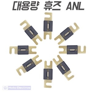 블레이드 대용량퓨즈 ANL-300A