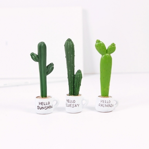 쁘띠 선인장 미니어처 3종세트