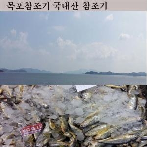 참조기 바라조기 20~25미